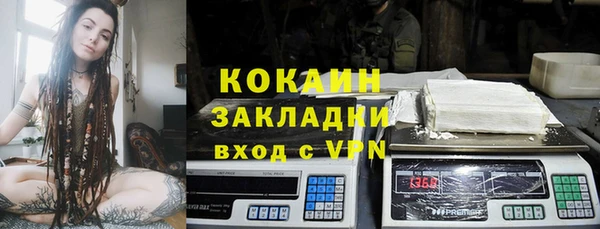 стаф Нефтегорск