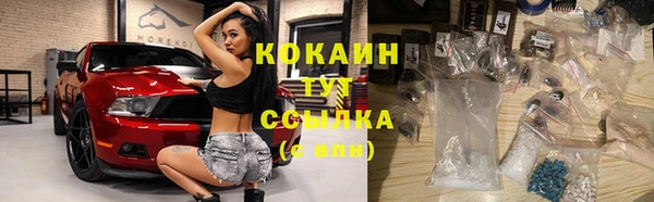 стаф Нефтегорск