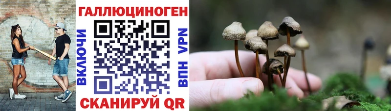 что такое наркотик  Ртищево  Псилоцибиновые грибы Psilocybine cubensis 