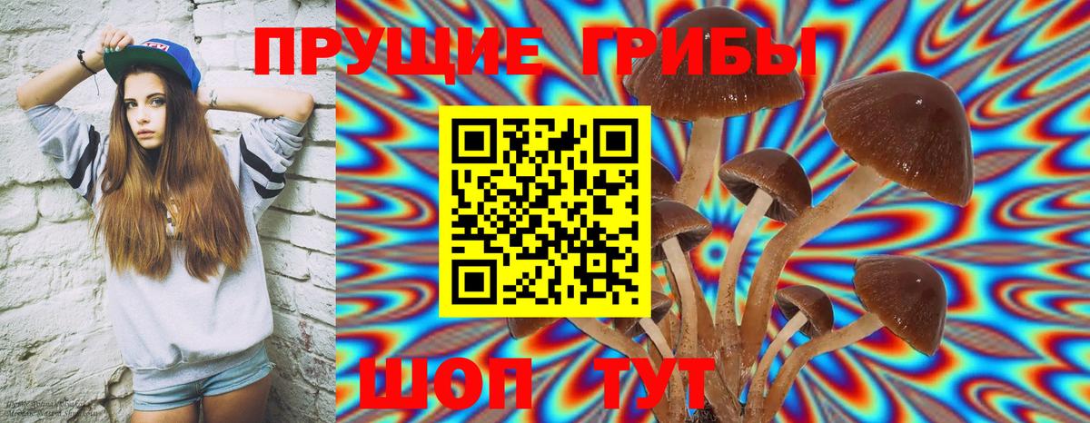 Галлюциногенные грибы Magic Shrooms Ртищево