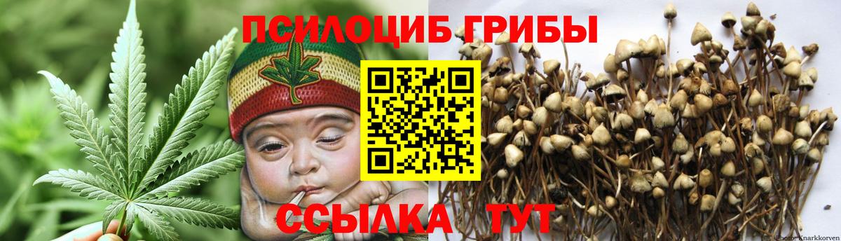 Ртищево  купить наркоту  Вход с VPN  Псилоцибиновые грибы MAGIC MUSHROOMS 
